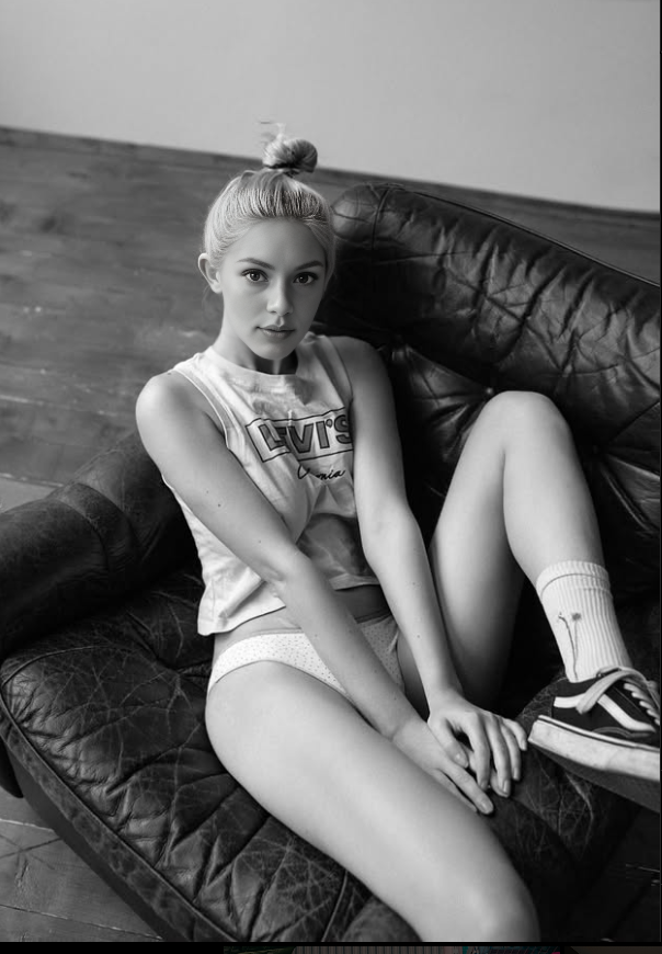 Model x